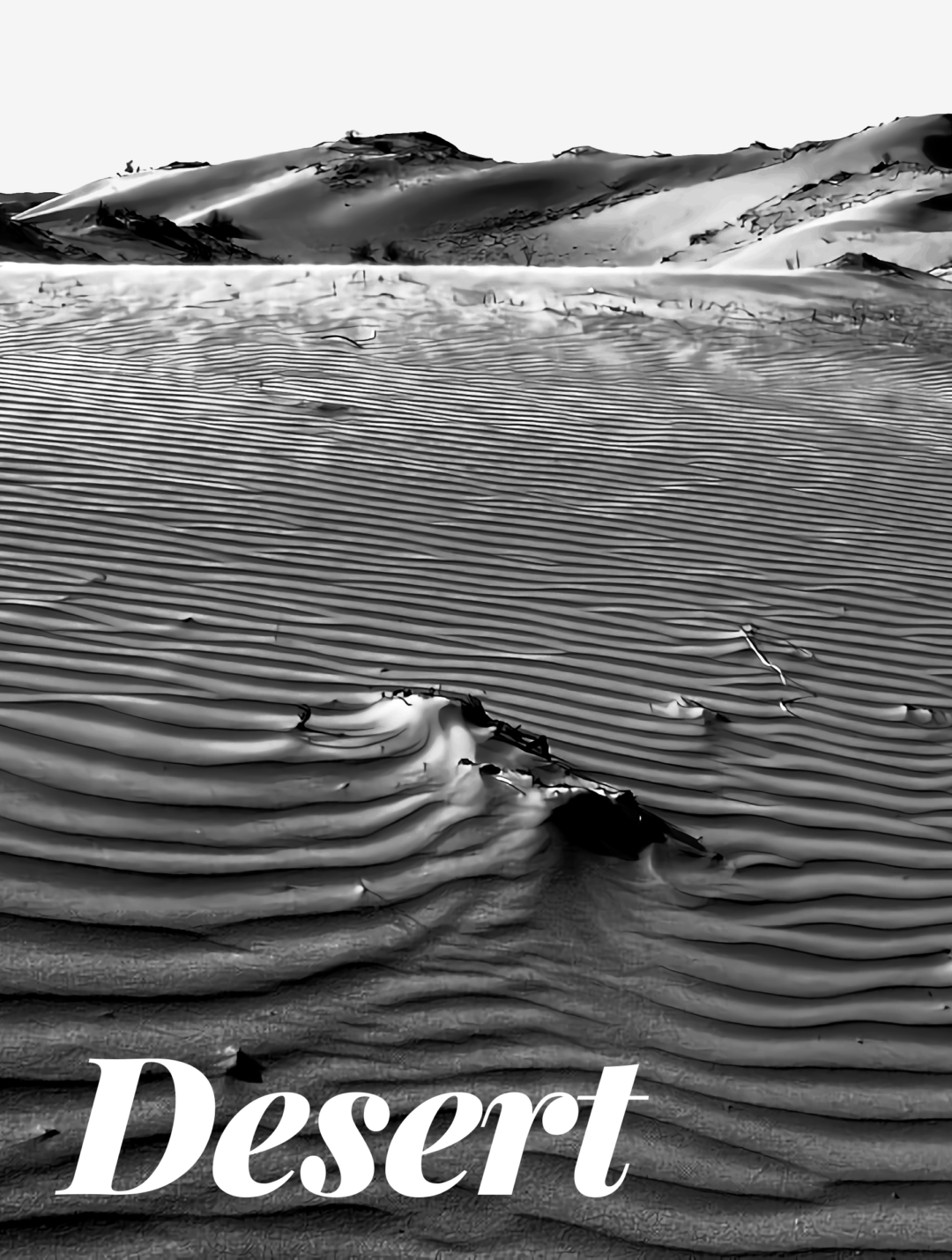 Cover of Desert